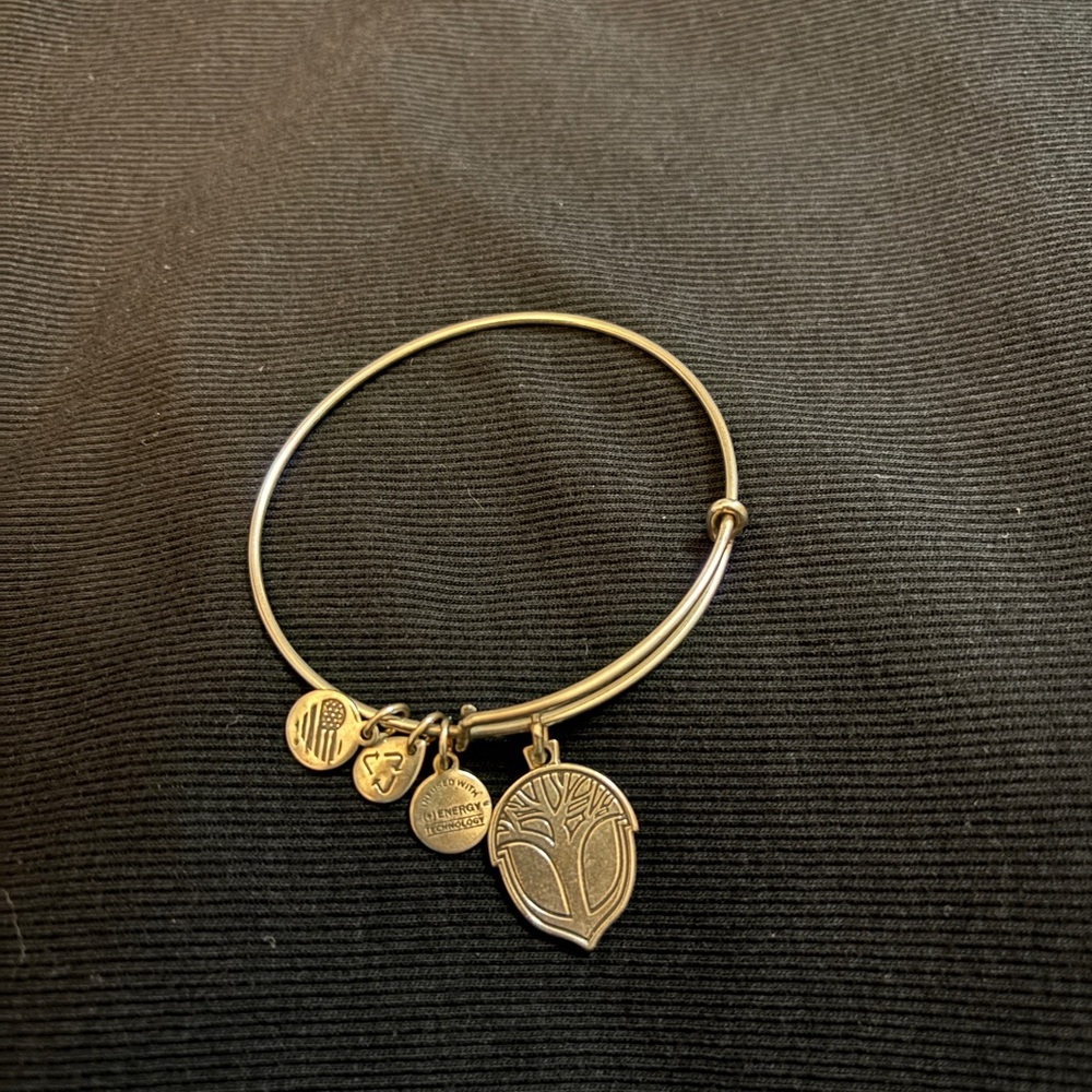 Alex and Ani Bracelet - “New Beginnings”